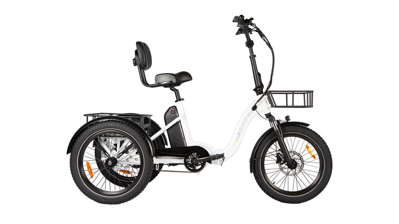 Load image into Gallery viewer, EUNORAU ONE-TRIKE 2.0 Electric Tricycle
