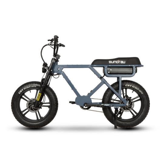 EUNORAU Flash – High-Performance Electric Bike