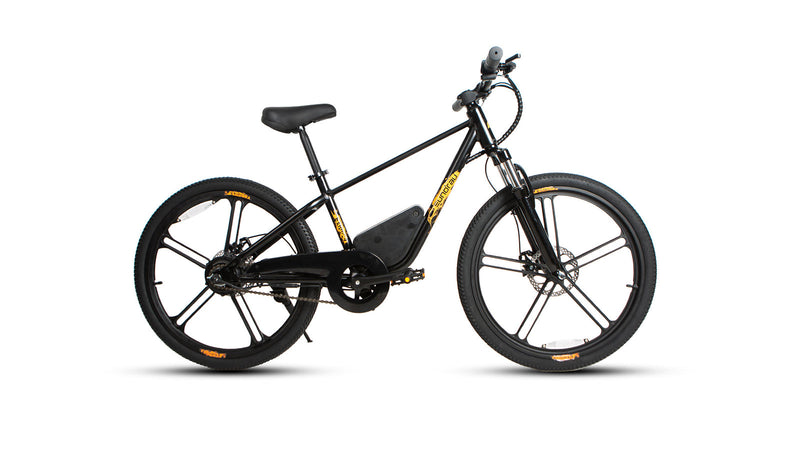 Load image into Gallery viewer, EUNORAU EKIDS-24 – Youth Electric Bike for Young Adventurers
