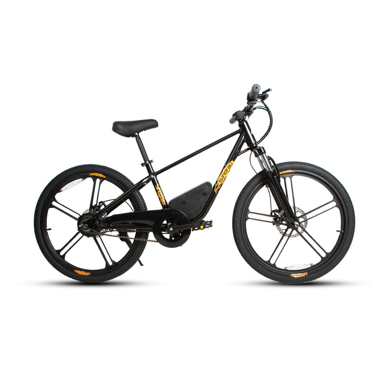 Load image into Gallery viewer, EUNORAU EKIDS-24 – Youth Electric Bike for Young Adventurers
