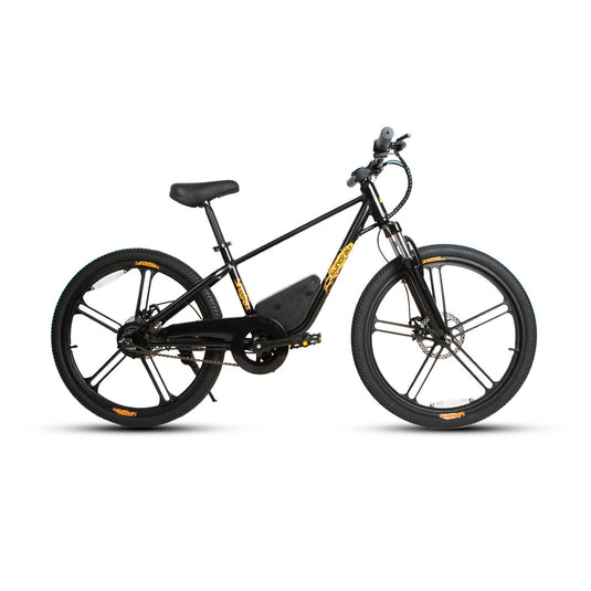 EUNORAU EKIDS-24 – Youth Electric Bike for Young Adventurers