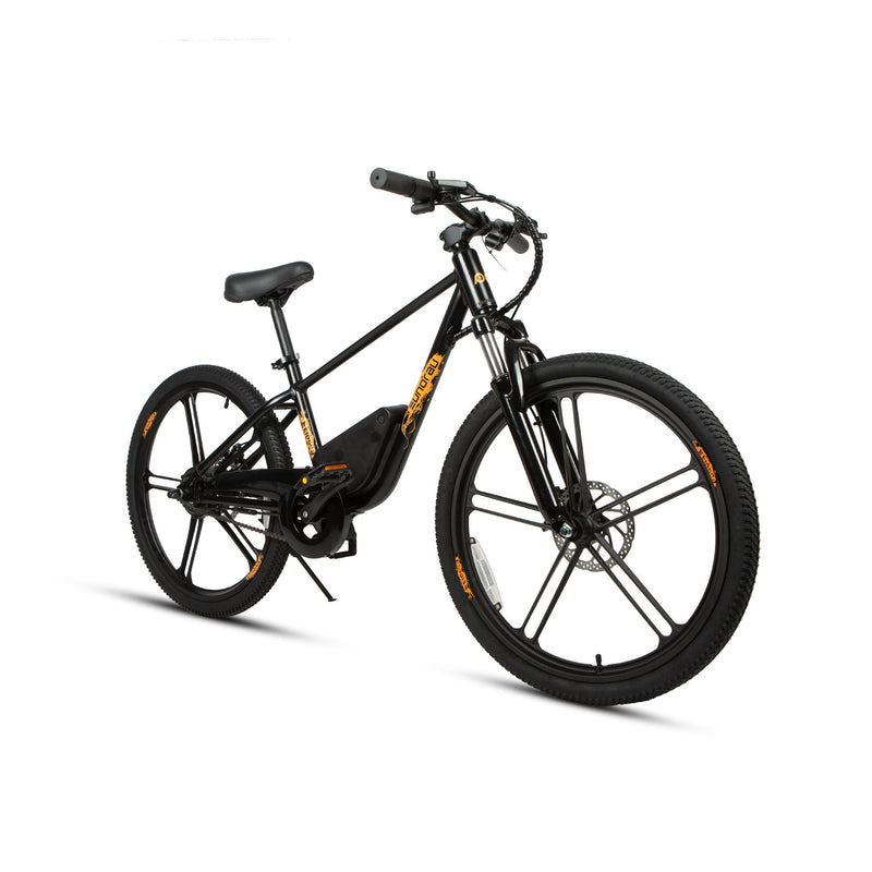 Load image into Gallery viewer, EUNORAU EKIDS-24 – Youth Electric Bike for Young Adventurers
