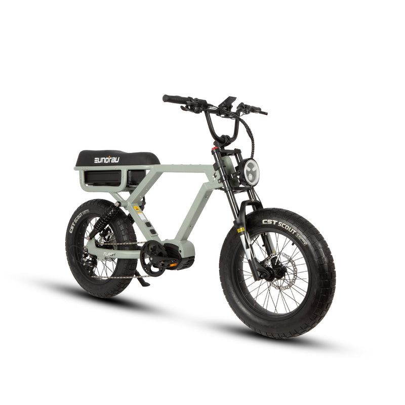 Load image into Gallery viewer, EUNORAU Flash – High-Performance Electric Bike
