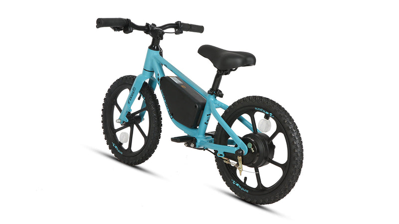 Load image into Gallery viewer, EUNORAU EKIDS-16 Electric Bike
