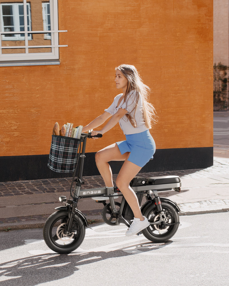 Load image into Gallery viewer, Engwe T14 350W Mini Electric Bike – Compact, Foldable, and Powerful
