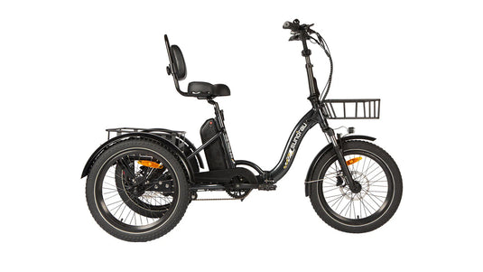 EUNORAU ONE-TRIKE 2.0 Electric Tricycle