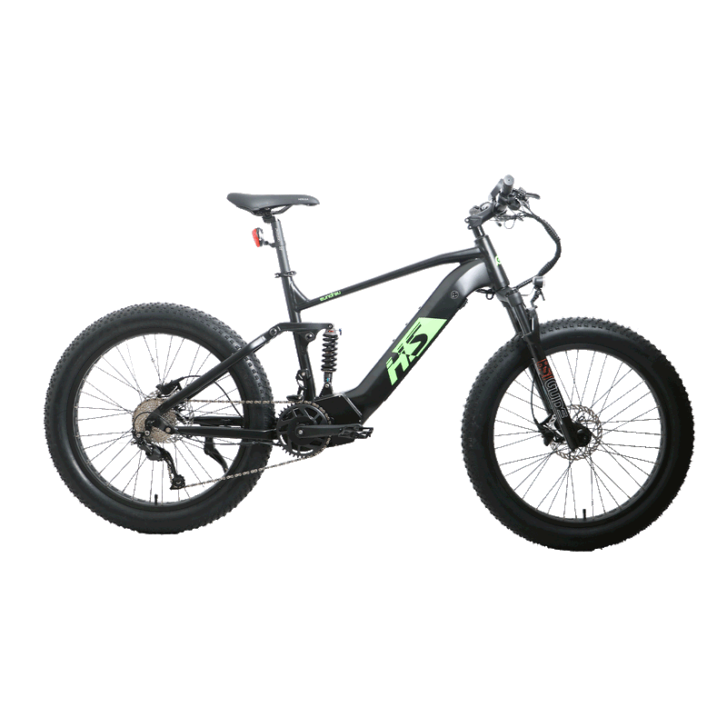 Load image into Gallery viewer, EUNORAU FAT-HS / Hunter X8 Electric Bike
