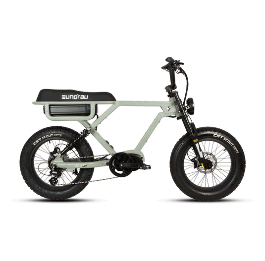 EUNORAU Flash – High-Performance Electric Bike