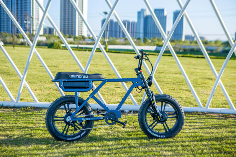 Load image into Gallery viewer, EUNORAU Flash – High-Performance Electric Bike

