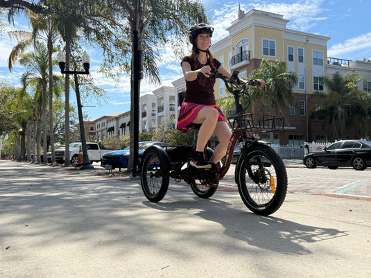 EUNORAU ONE-TRIKE 2.0 Electric Tricycle