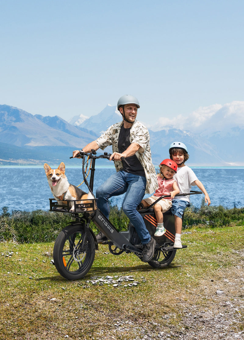 Load image into Gallery viewer, Engwe LE20 Electric Cargo Bike
