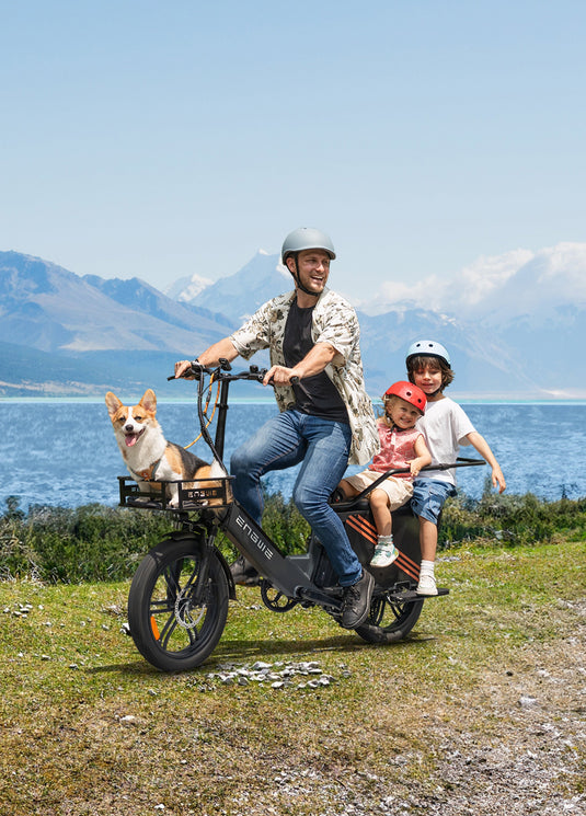 Engwe LE20 Electric Cargo Bike