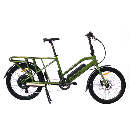 EUNORAU MAX-CARGO 48V 750W Electric Cargo Bike