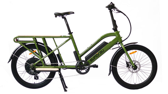 EUNORAU MAX-CARGO 48V 750W Electric Cargo Bike