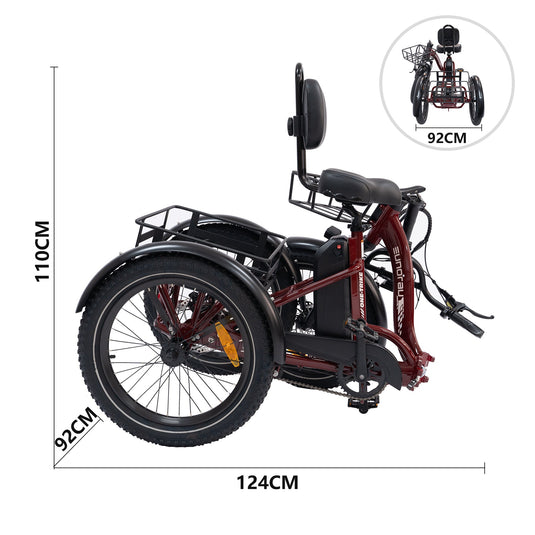EUNORAU ONE-TRIKE 2.0 Electric Tricycle
